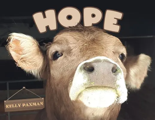 La speranza - Hope