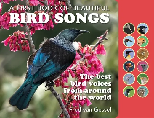Un libro di belle canzoni di uccelli: Le migliori voci di uccelli da tutto il mondo - A Book of Beautiful Bird Songs: The Best Bird Voices from Around the World