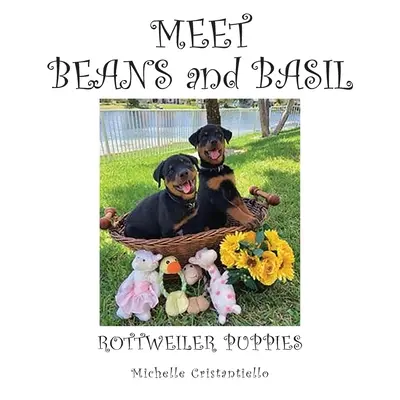 Incontro con fagioli e basilico - Meet Beans and Basil