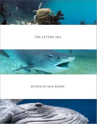 Hussain Aga Khan: Il mare vivo - Hussain Aga Khan: The Living Sea