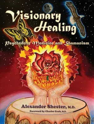 GUARIGIONE VISIONARIA Medicina psichedelica e sciamanesimo - VISIONARY HEALING Psychedelic Medicine and Shamanism