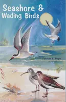 Uccelli di mare e trampolieri della Florida - Seashore and Wading Birds of Florida