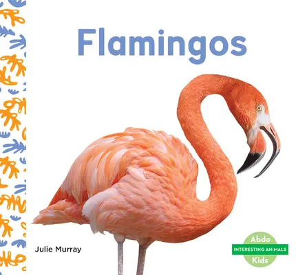 Fenicotteri - Flamingos