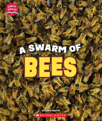 Uno sciame di api (Impariamo a conoscere gli animali) - A Swarm of Bees (Learn About: Animals)