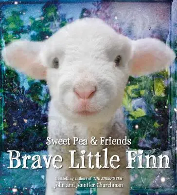 Il piccolo Finn coraggioso - Brave Little Finn