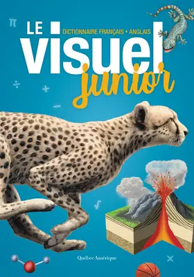 Le Visuel Junior: Dizionario francese-anglofono - Le Visuel Junior: Dictionnaire Franais - Anglais
