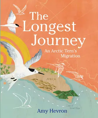 Il viaggio più lungo: La migrazione di una sterna artica - The Longest Journey: An Arctic Tern's Migration