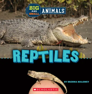 Rettili (Mondo selvaggio: animali grandi e piccoli) - Reptiles (Wild World: Big and Small Animals)