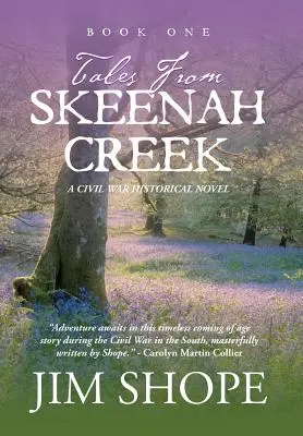 Racconti da Skeenah Creek: Un romanzo storico sulla guerra civile - Tales From Skeenah Creek: A Civil War Historical Fiction Novel