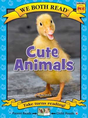 Animali carini - Cute Animals