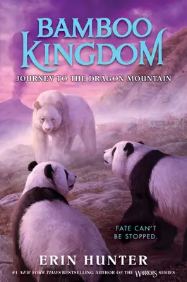 Il regno di bambù #3: Viaggio verso la montagna del drago - Bamboo Kingdom #3: Journey to the Dragon Mountain