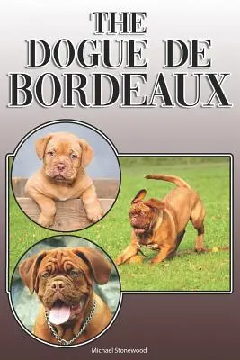 Il Dogue de Bordeaux: Una guida completa ed esauriente per i proprietari a: Acquistare, possedere, salute, toelettatura, addestramento, obbedienza, comprensione e - The Dogue de Bordeaux: A Complete and Comprehensive Owners Guide To: Buying, Owning, Health, Grooming, Training, Obedience, Understanding and