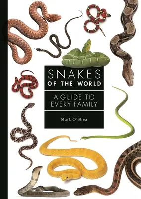Serpenti del mondo: Guida per ogni famiglia - Snakes of the World: A Guide to Every Family
