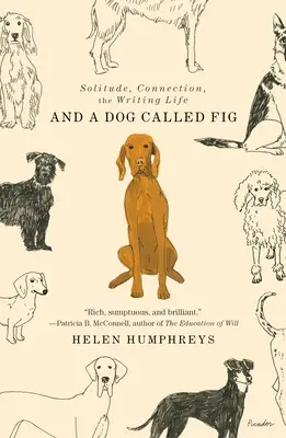 E un cane chiamato fico: solitudine, connessione, vita da scrittore - And a Dog Called Fig: Solitude, Connection, the Writing Life