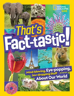 Questo è un fatto fantastico! Cose sbalorditive, impressionanti, da far cadere la mascella sul nostro mondo - That's Fact-Tastic!: Mind-Blowing, Eye-Popping, Jaw-Dropping Stuff about Our World
