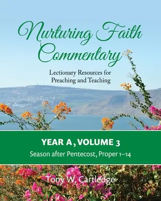 Commentario per nutrire la fede, Anno A, Volume 3: Risorse del Lezionario per la predicazione e l'insegnamento - Stagione dopo Pentecoste: Propriamente 1-14 - Nurturing Faith Commentary, Year A, Volume 3: Lectionary Resources for Preaching and Teaching-Season after Pentecost: Proper 1-14