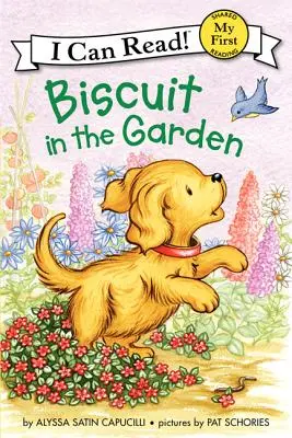 Biscotto in giardino - Biscuit in the Garden