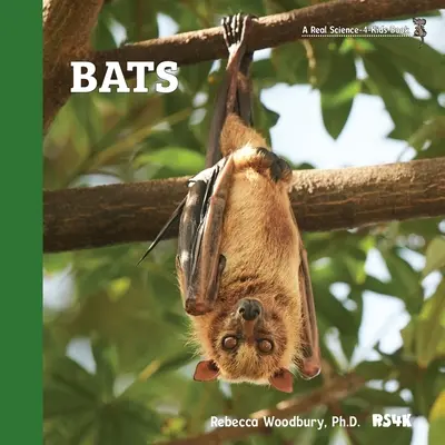 I pipistrelli - Bats