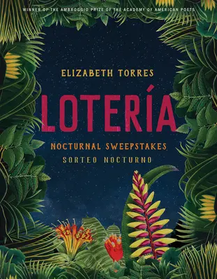 Lotera: Giochi notturni a premi - Lotera: Nocturnal Sweepstakes