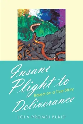 La condizione del folle fino alla liberazione: Basato su una storia vera - Insane Plight to Deliverance: Based on a True Story