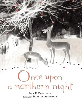 C'era una volta una notte del Nord - Once Upon a Northern Night