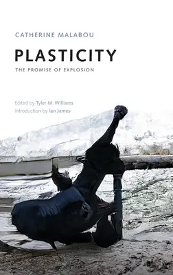 Plasticità: La promessa dell'esplosione - Plasticity: The Promise of Explosion