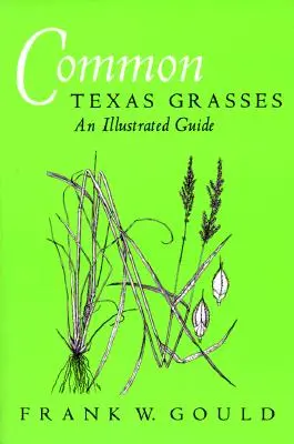 Erbe comuni del Texas: Una guida illustrata - Common Texas Grasses: An Illustrated Guide