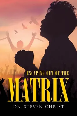 Fuga da Matrix - Escaping Out of the Matrix