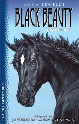 Grafica Puffin: Bellezza Nera - Puffin Graphics: Black Beauty