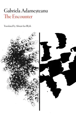 L'incontro - The Encounter