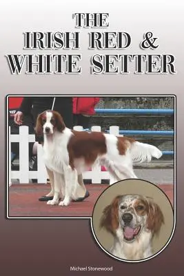 Il Setter irlandese bianco e rosso: Guida completa ed esaustiva per il proprietario: Acquistare, possedere, salute, toelettatura, addestramento, obbedienza, comprensione e - The Irish Red and White Setter: A Complete and Comprehensive Owners Guide To: Buying, Owning, Health, Grooming, Training, Obedience, Understanding and