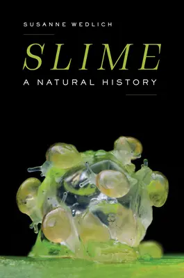 La melma: Una storia naturale - Slime: A Natural History