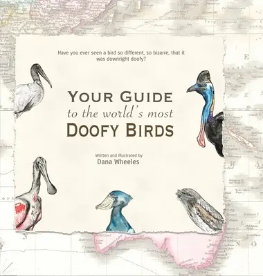 La vostra guida agli uccelli più strambi del mondo - Your Guide to the World's Most Doofy Birds