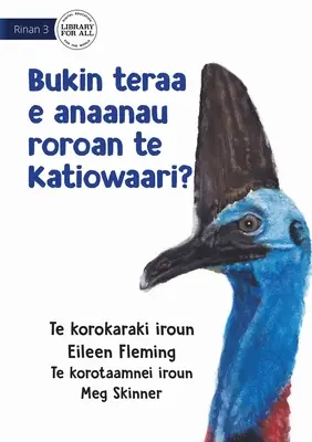 Perché il Cassowary ha il collo lungo - Bukin teraa e anaanau roroan te katiowaari (Te Kiribati) - Why the Cassowary has a Long Neck - Bukin teraa e anaanau roroan te katiowaari? (Te Kiribati)