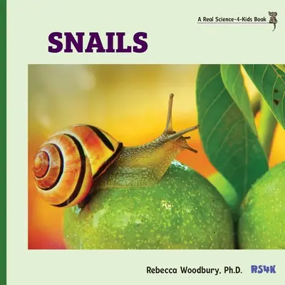 Lumache - Snails