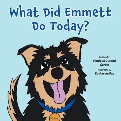 Che cosa ha fatto Emmett oggi? - What Did Emmett Do Today?