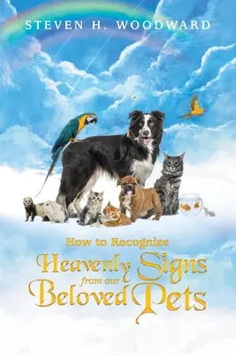 Come riconoscere i segni del cielo dai nostri amati animali domestici - How to Recognize Heavenly Signs from Our Beloved Pets