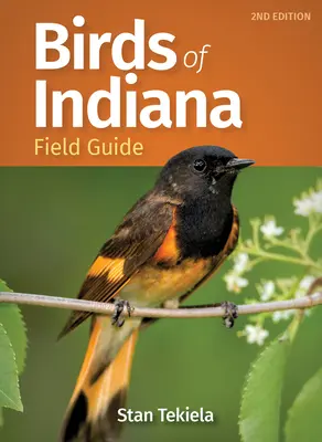 Guida agli uccelli dell'Indiana - Birds of Indiana Field Guide
