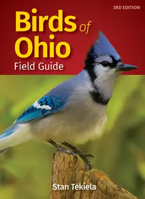 Guida agli uccelli dell'Ohio - Birds of Ohio Field Guide