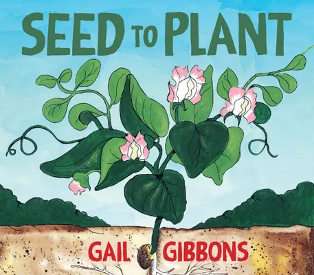 Dal seme alla pianta - Seed to Plant