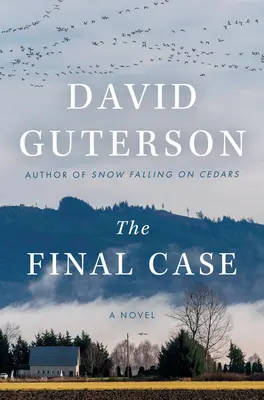 Il caso finale - The Final Case