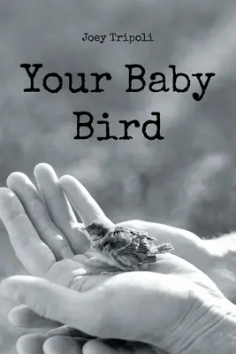 Il tuo uccellino - Your Baby Bird