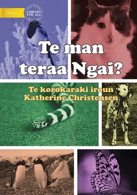 Che animale sono? - Te man teraa Ngai? (Te Kiribati) - What Animal am I? - Te man teraa Ngai? (Te Kiribati)