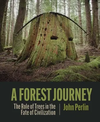 Un viaggio nella foresta: Il ruolo degli alberi nel destino della civiltà - A Forest Journey: The Role of Trees in the Fate of Civilization