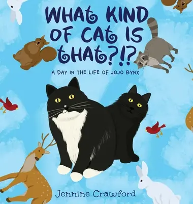 Che razza di gatto è quello? Un giorno nella vita di Jojo Bynx - What Kind of Cat is That?!?: A Day in the Life of Jojo Bynx