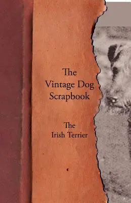 L'annuario dei cani d'epoca - Il terrier irlandese - The Vintage Dog Scrapbook - The Irish Terrier