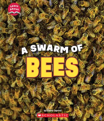 Uno sciame di api (Imparare a conoscere gli animali) - A Swarm of Bees (Learn About: Animals)