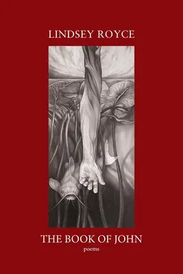 Il libro di Giovanni - The Book of John