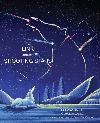 Link e le stelle cadenti - Link and the Shooting Stars