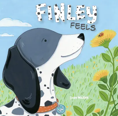 Finley sente - Finley Feels
